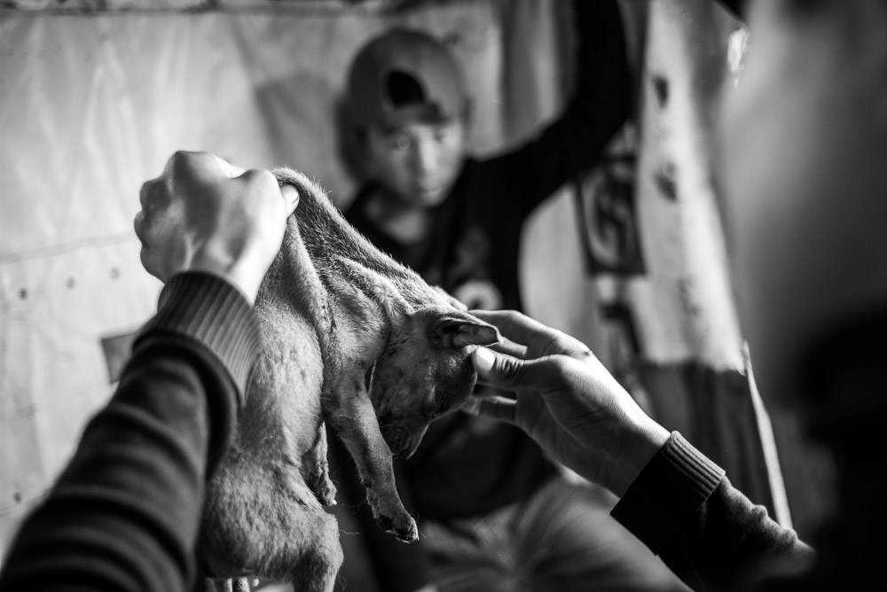 Nomads Mongolia Nomadic- copyright 2013 Sven Zellner/Agentur Focus