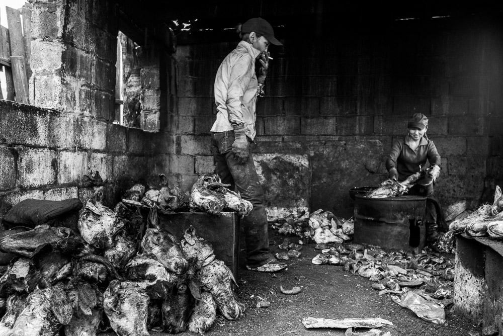 Nomads Mongolia Nomadic- copyright 2013 Sven Zellner/Agentur Focus