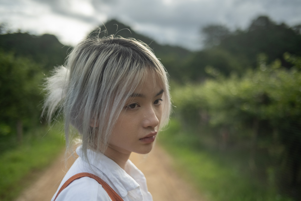 copyright 2026 Sven Zellner