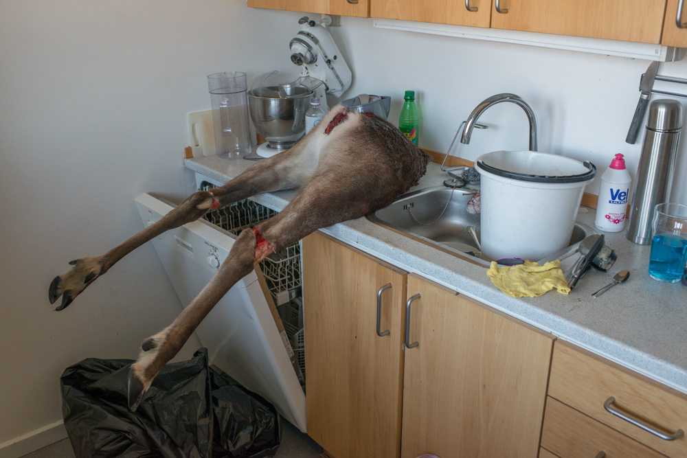 copyright 2026 Sven Zellner