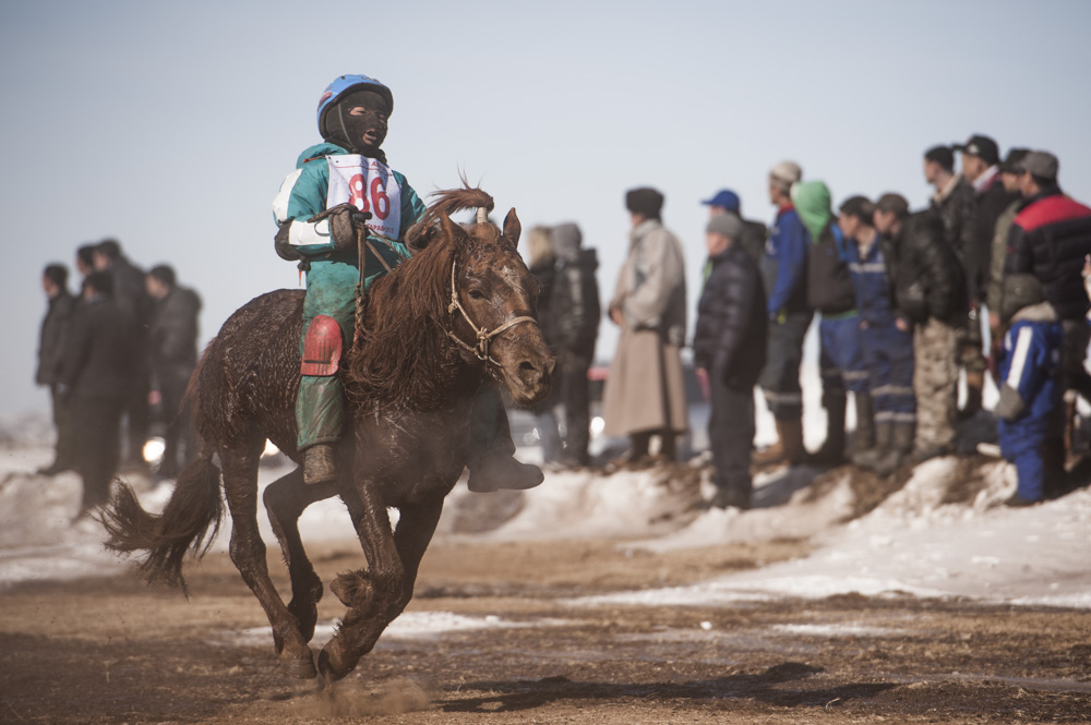 Naadam Horse Race Mongolia, Pferderennen Mongolei  - copyright 2013 Sven Zellner/Agentur Focus