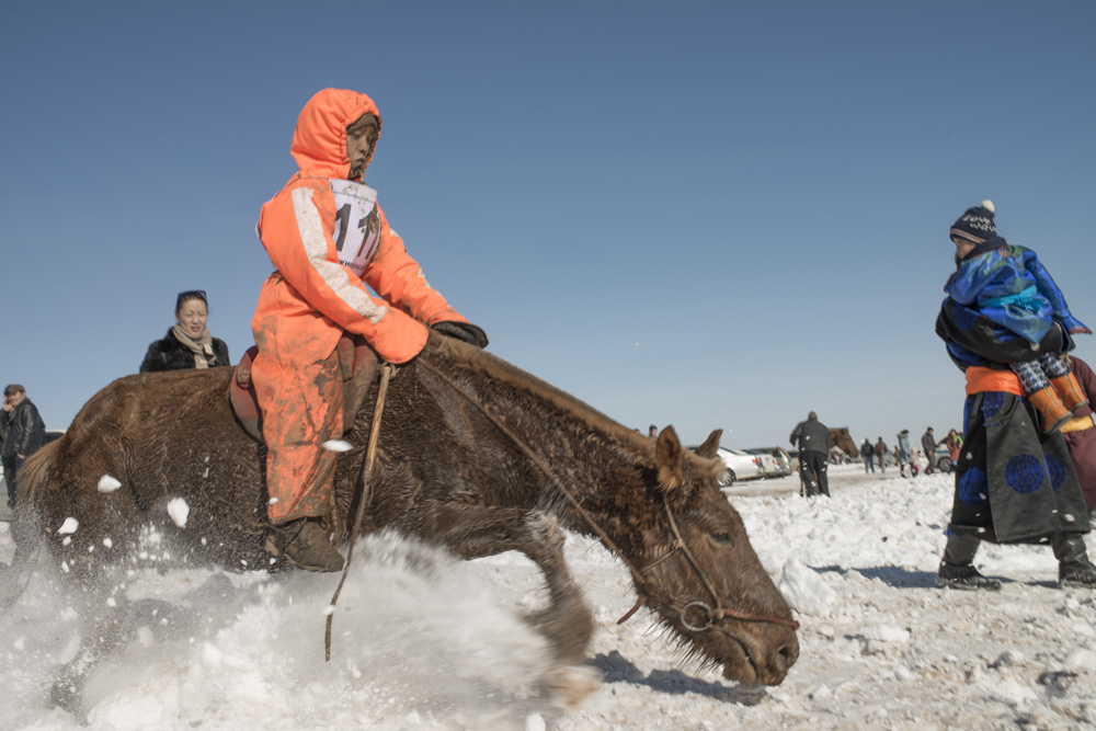 Naadam Horse Race Mongolia, Pferderennen Mongolei  - copyright 2013 Sven Zellner/Agentur Focus